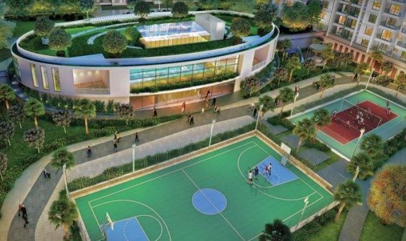 Sports Facilities